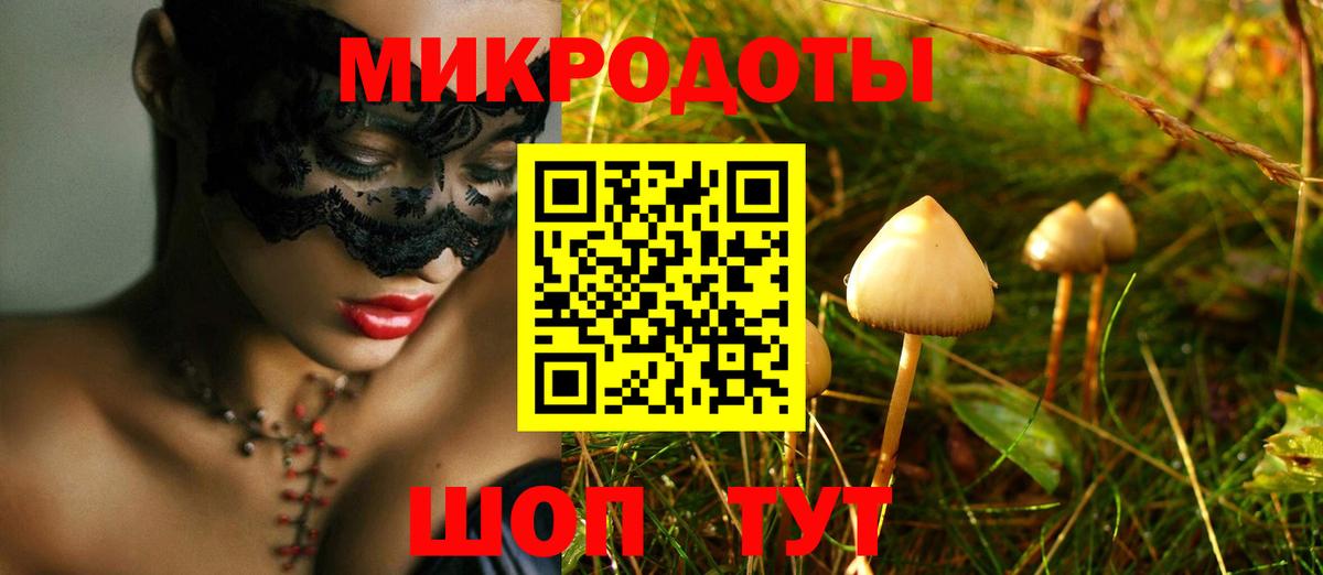 продажа наркотиков  Галлюциногенные грибы GOLDEN TEACHER  Вход с VPN  Дзержинский 