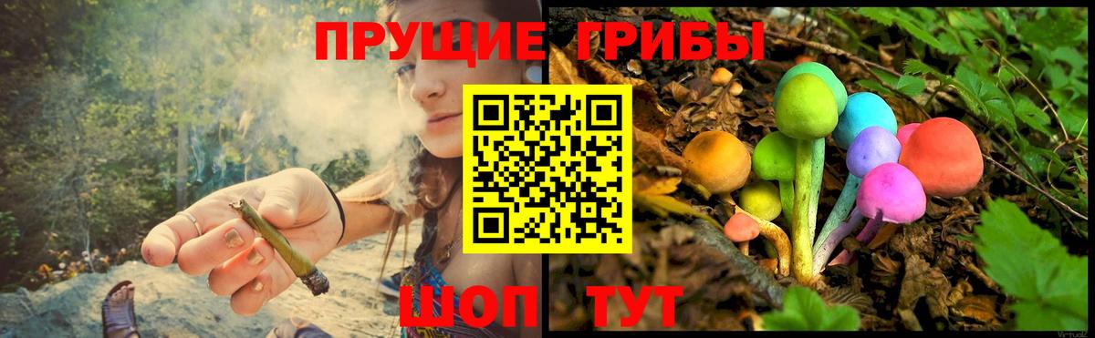 Галлюциногенные грибы прущие грибы Дзержинский
